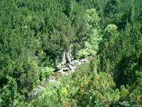 Click to enlarge the image