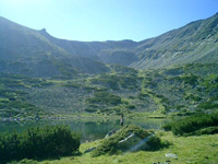 Click to enlarge the image