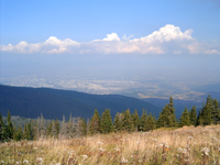 Click to enlarge the image
