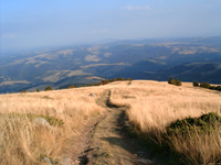 Click to enlarge the image