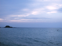 Click to enlarge the image